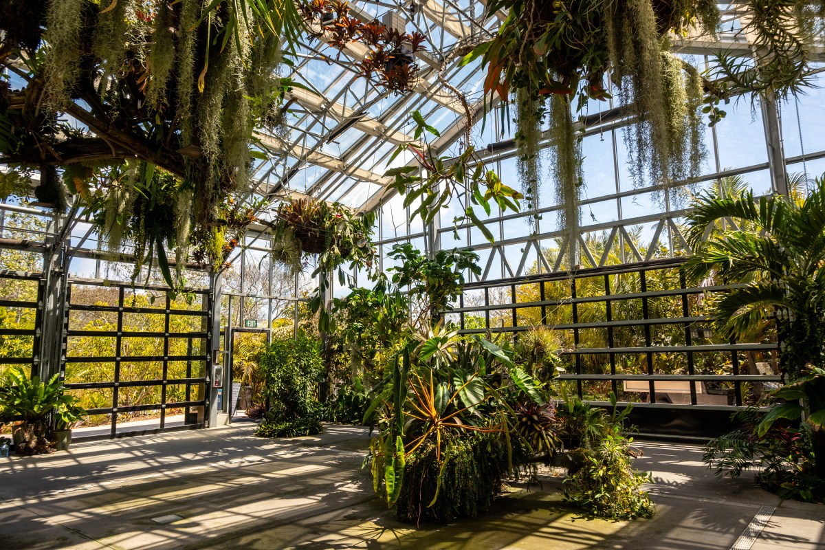 From Desert Blooms to Rainforest Trails: Inside the San Diego Botanic&nbsp;Garden