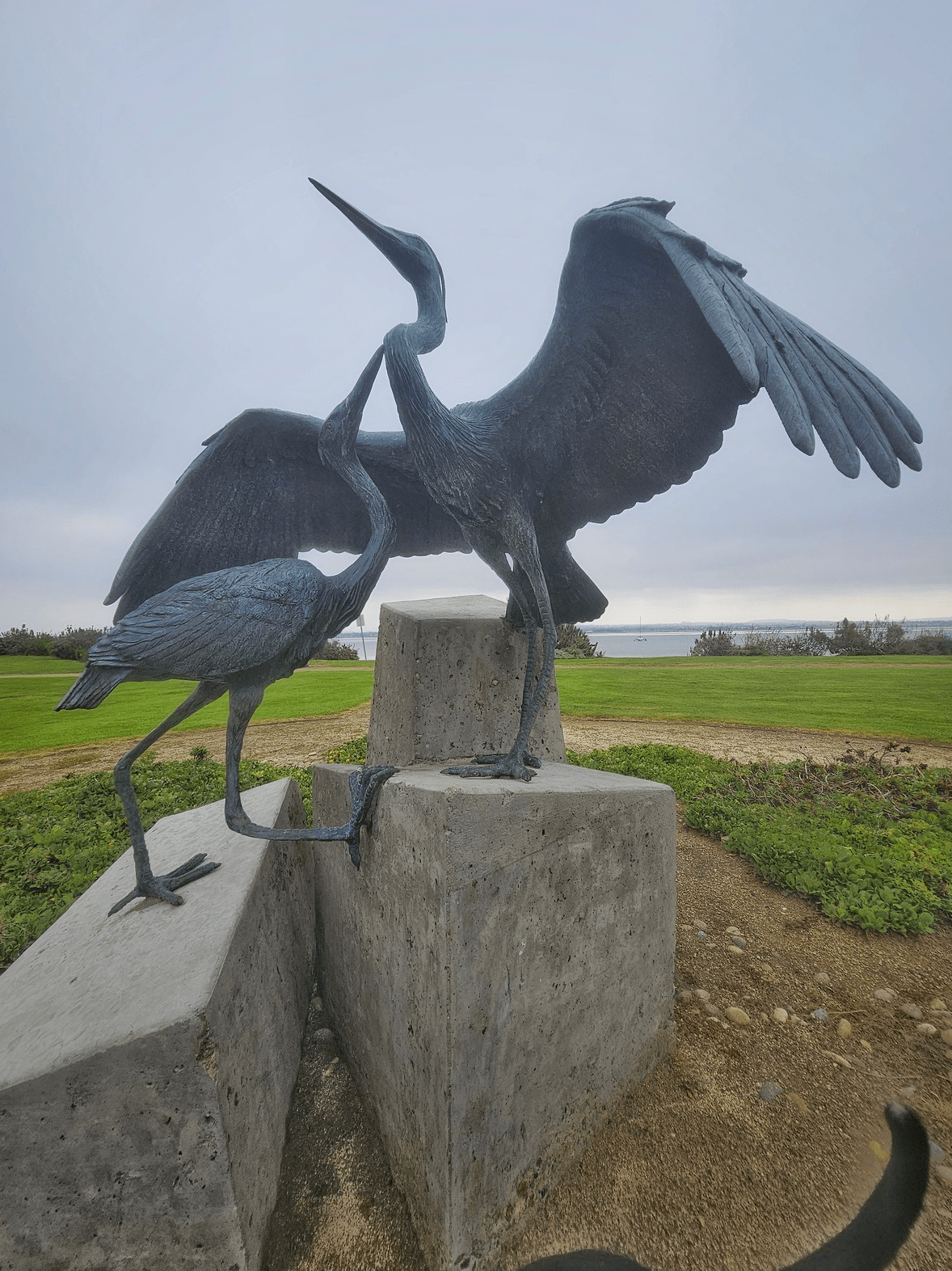 Art Around the Bay #1 Grand&nbsp;Caribe