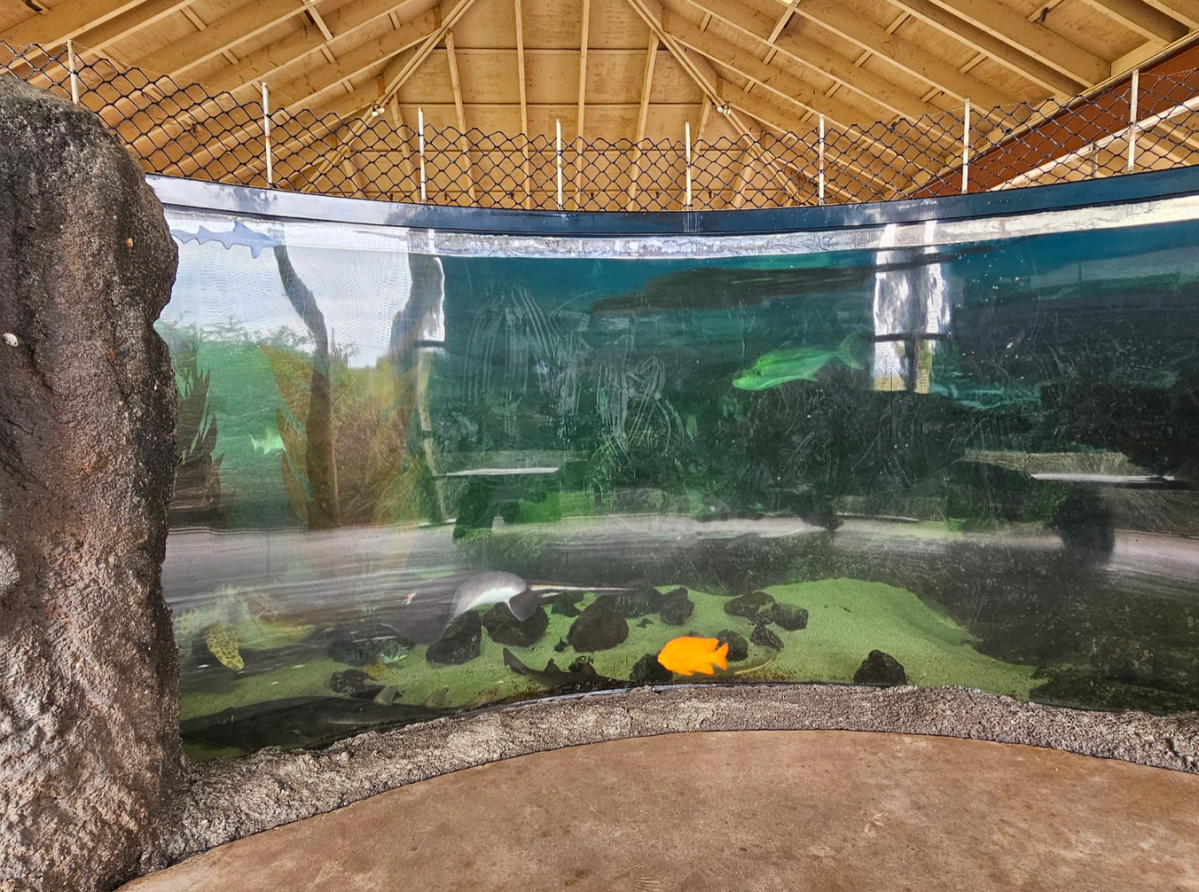 Discovering the Living Coast Discovery Center: Where Nature Meets&nbsp;Education