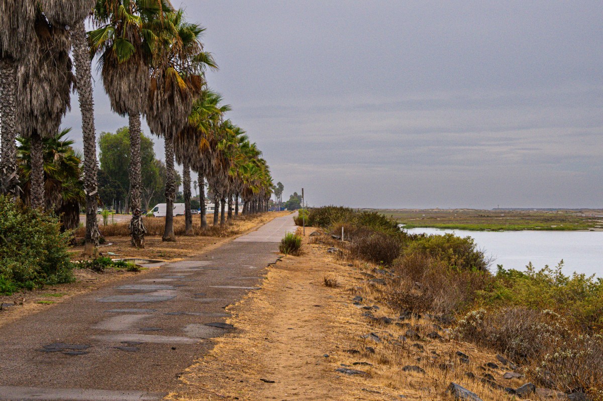Robb Field Loop Walkway: Scenic Riverside Path in Ocean&nbsp;Beach