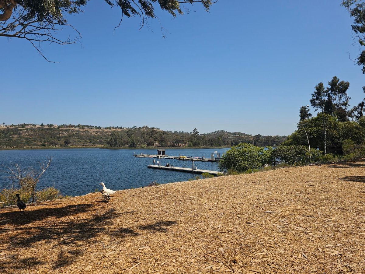 A Walk Around Lake Miramar: San Diego’s Scenic Reservoir&nbsp;Escape